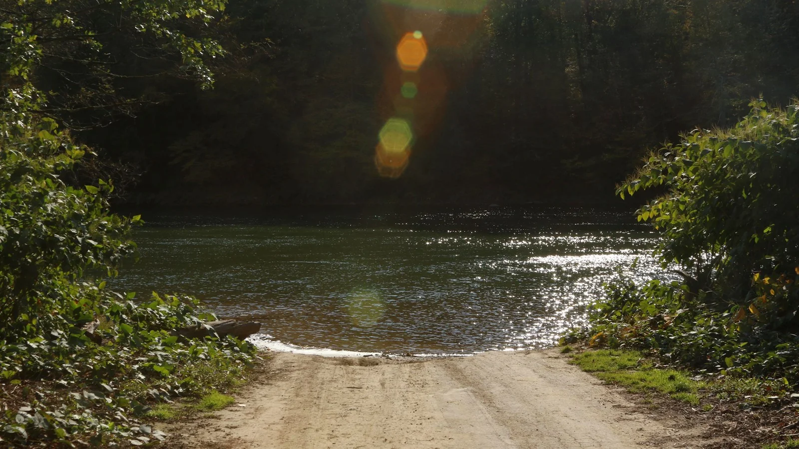 Afternoon sunlight through the trees at Long Eddy River Access.